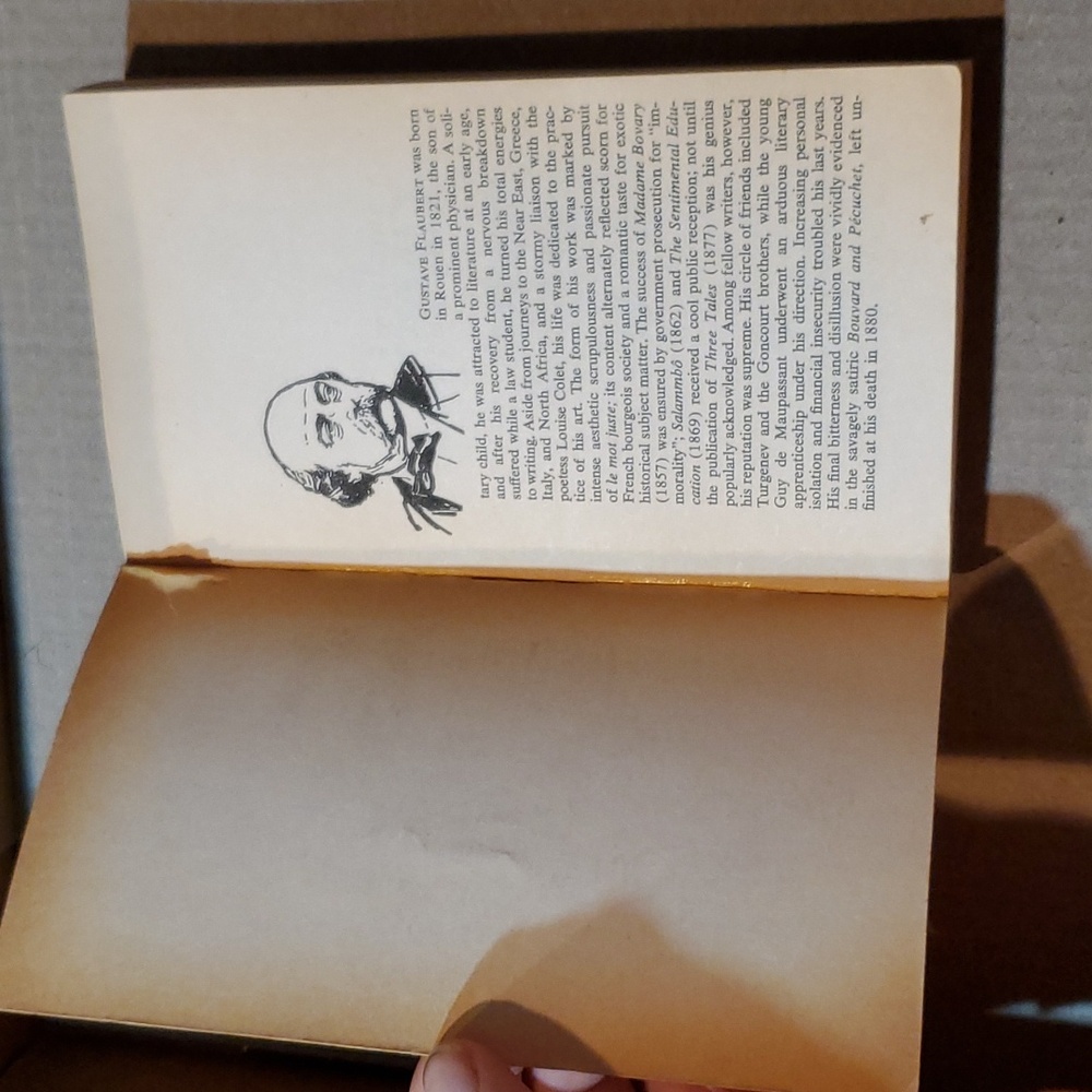 🇫🇷 Madame Bovary Gustave Flaubert paperback book - Picture 5 of 11